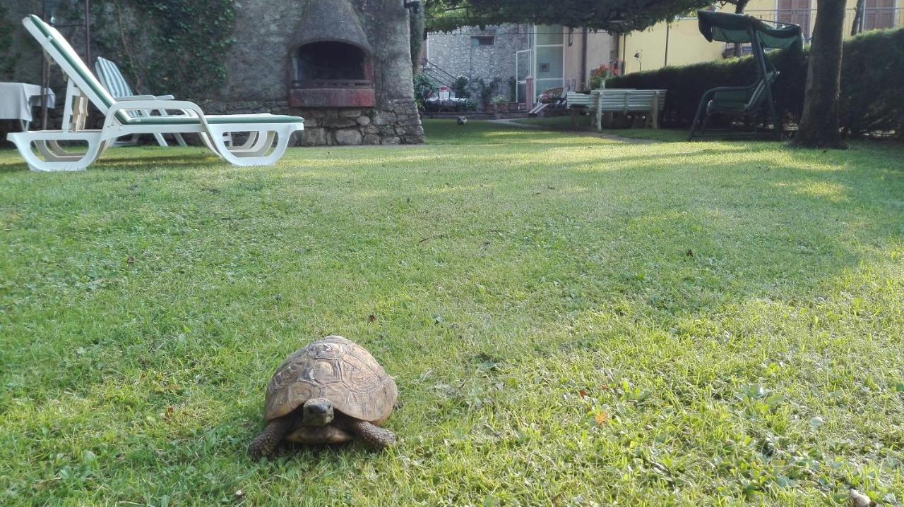Corte Faliva Brenzone sul Garda Exterior foto